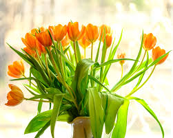 Order Flowers